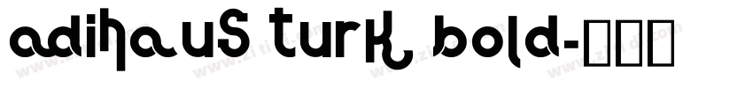 AdiHaus Turk Bold字体转换